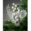 Fabric Poinsettia Arrangement