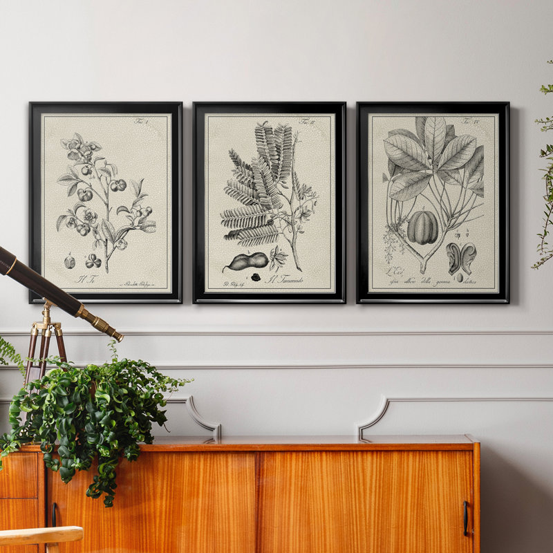 «Antique Black and White Botanical IV», ensemble de 3 peintures sur toile encadrées, H 26,5 po x l 109,5 po x P 1,5 po