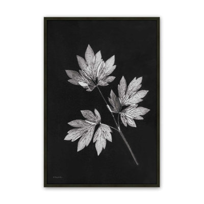 Simple Leaves by Robin-Lee Vieira Art Print