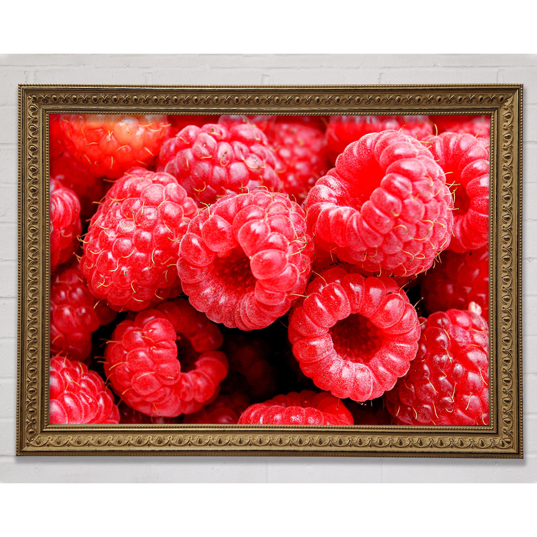 Raspberry Delight - Drucken