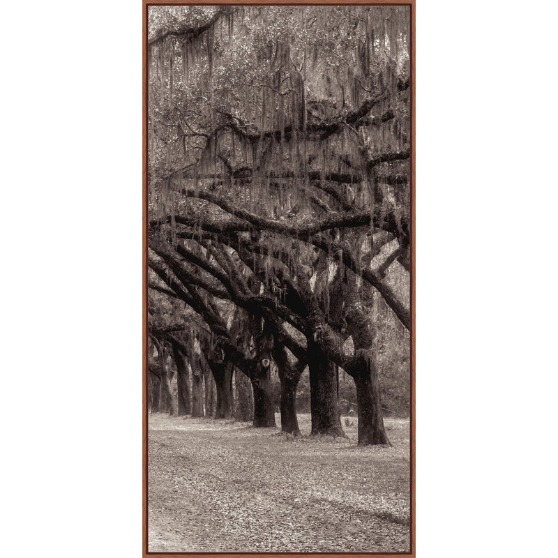 "Nature's Arch Triptych C"