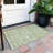 Aleighna Area Rug with Non-Slip Backing-1195377070