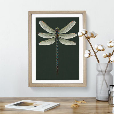 Symmetrical Dragonfly - Framed Print