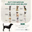 Lit pour animal de base Basic - Endroit douillet pour votre ami