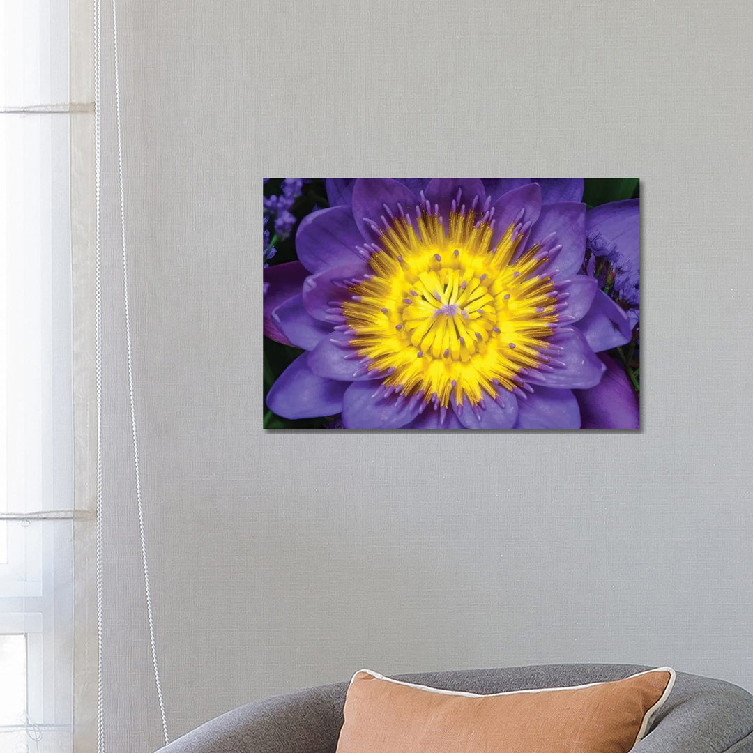 Lotus by Glauco Meneghelli - Wrapped Canvas Print