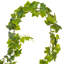 Guirlande ivy de vigne en vigne de vigne dépolie artificielle