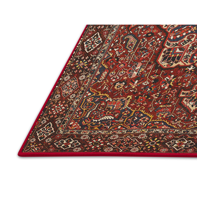 Abu Oriental Indoor Rug, Rectangle 2' x 3'
