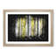 Yellow Birch Tree Forest - Picture Frame Graphic Art Print-56875970-56875974