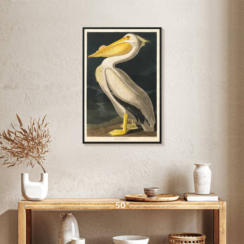 Pélican d'Amérique des oiseaux d'Amérique, Cadre flottant noir, 21 po x 31 po