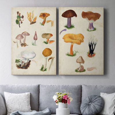 Mushroom Species VI-Premium Gallery Wrapped Canvas -Ready to Hang