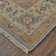 Performance Wool Oriental Indoor Rug