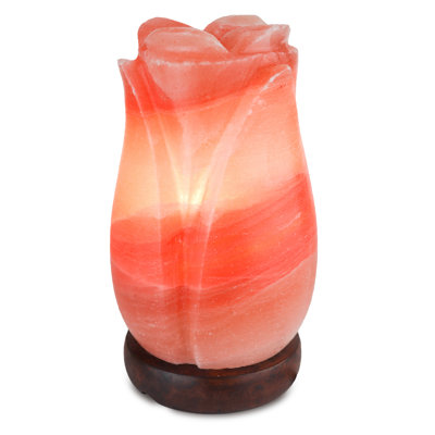 Lampe à sel 5 lb Rose