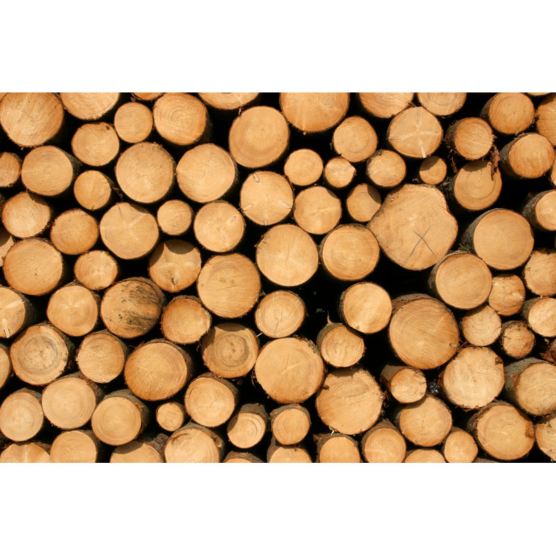 Stacked logs, 20cm H x 30cm W