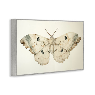 Vintage Beige Moth Giclee Art by Petal Prints Design