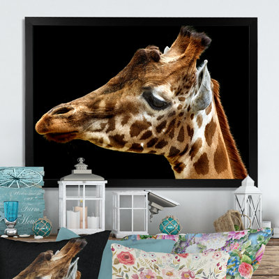 " Giraffe Portrait "