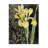 Bolog Sasha Ode To Yellow Canvas Art-104118907