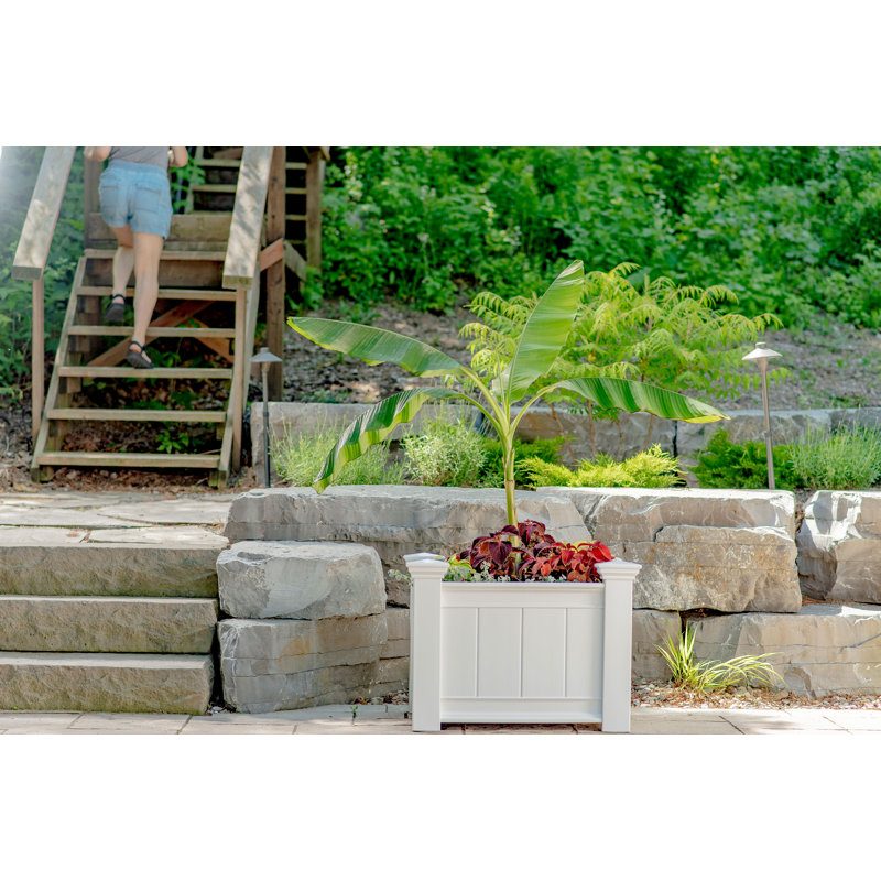 Pot à fleurs surélevé en plastique Kerrimore, H 21,75 po x l 27 po x p 21,75 po