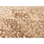 Animal Print Area Rug-64410901