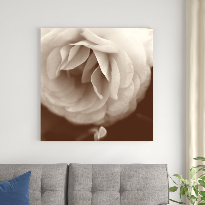 «Sepia Rapture II», photographie sur toile, H 36 po x l 36 po
