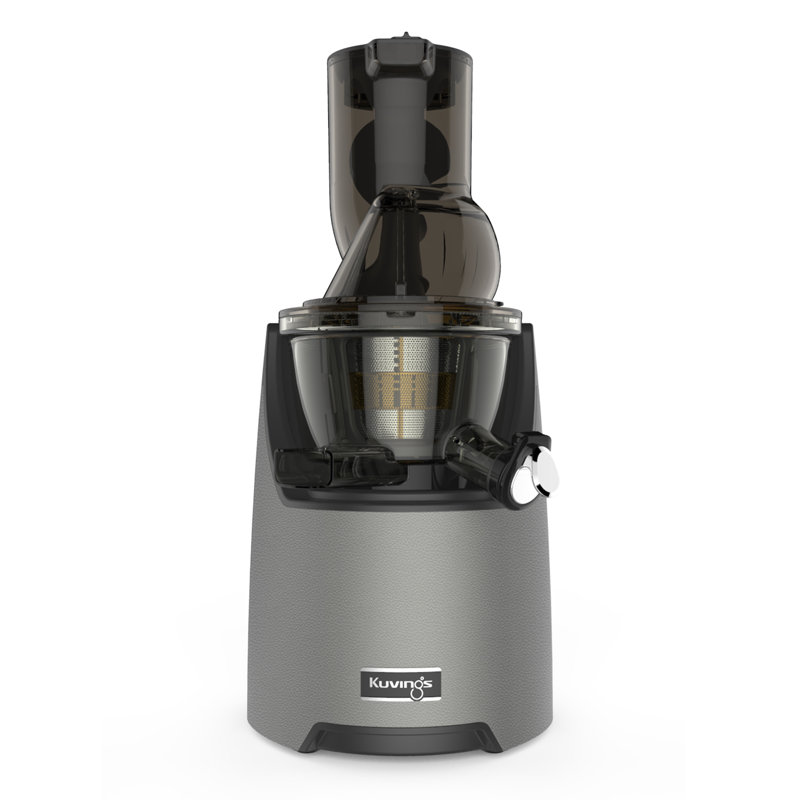 Gun Metal Slow Masticating Juicer with Leather Finish