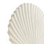 3 Piece Shell Sculpture Set