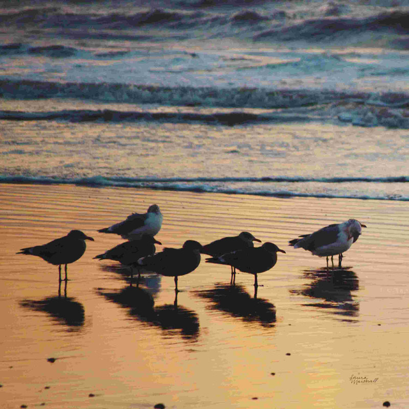 Kalaloch Oiseaux I, H 12 po x l 12 po, Oui, Papier avec cadre érable