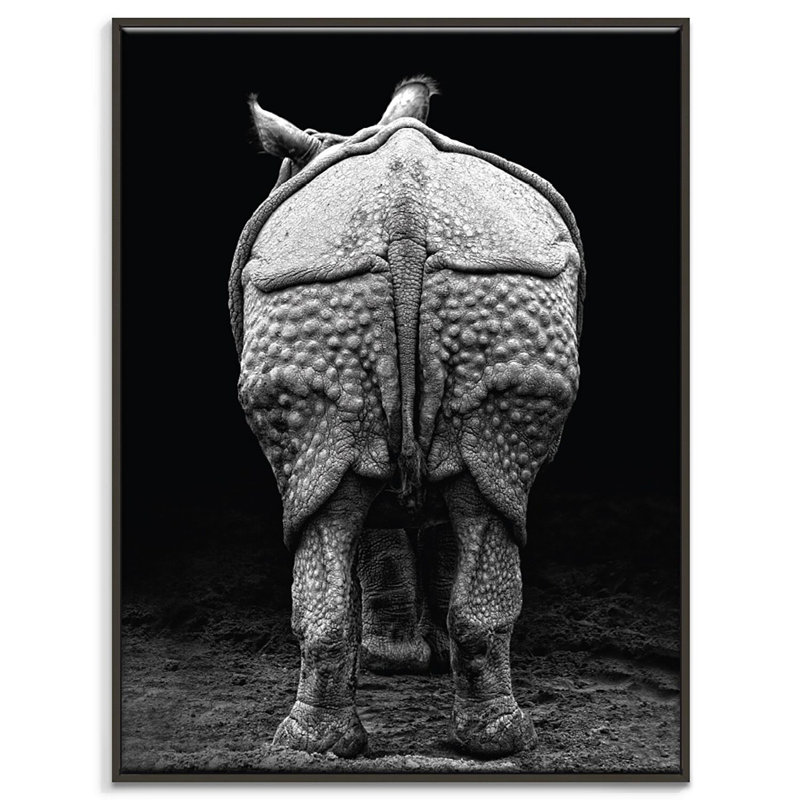 Print on Canvas, Black, 51cm H x 41cm W