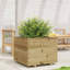 9 Wood Planter-100492045-100492046