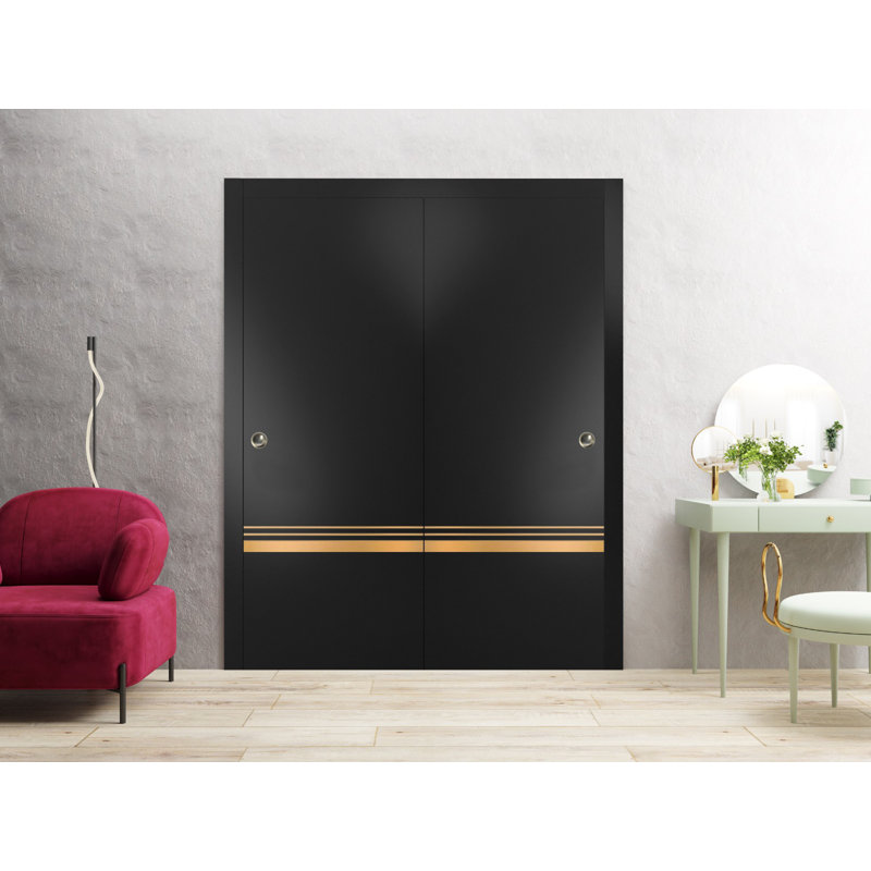 Portes de placard coulissantes à panneaux en bois, Noir mat, 64 po x 96 po
