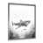 Silver Single Picture Framed