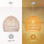 Geometric Pendant Light 1-Light Burrton-1528523023