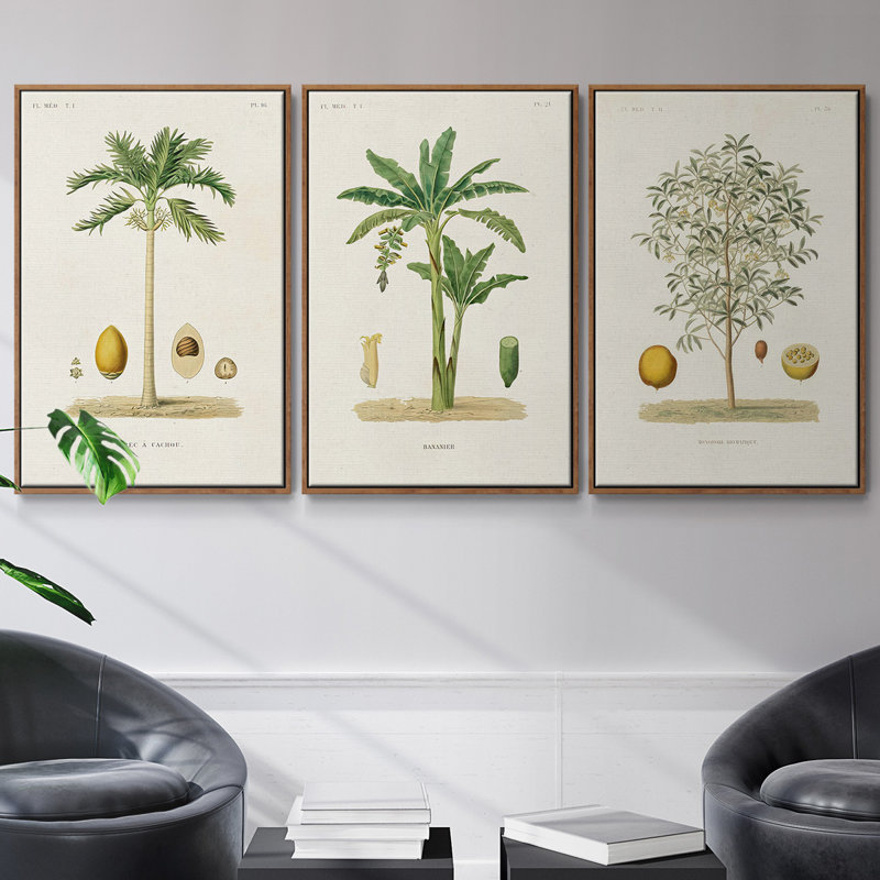 Arbre antique avec fruit II - ensemble de 3 reproductions de photos sur toile, Noyer, H 40 po x l 78 po