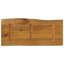 Vidaxl Table Top Solid Wood Mango-102731079