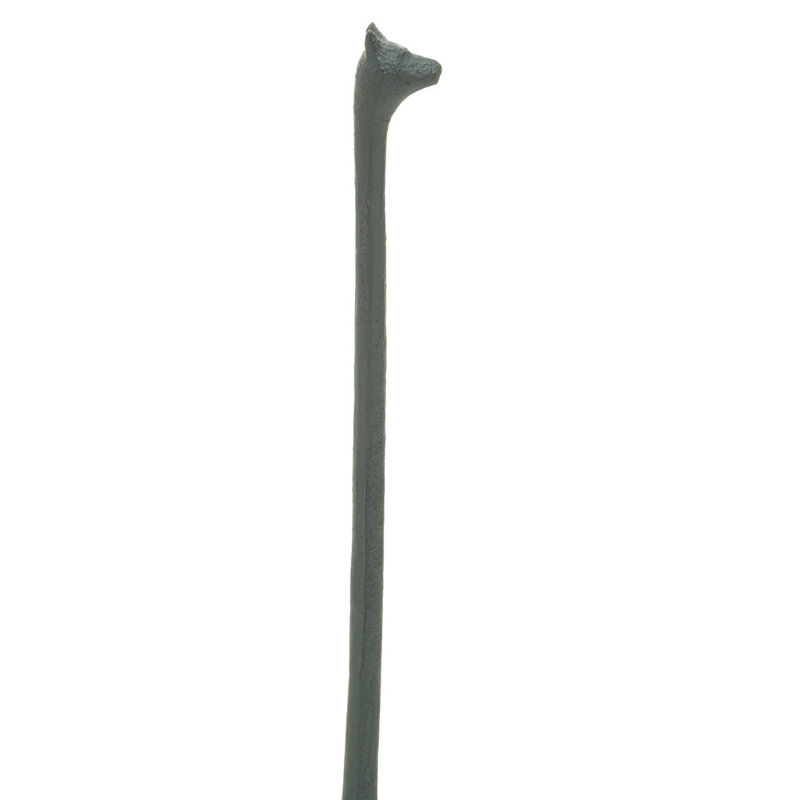 Ellian Free Standing Toilet Paper Holder, Gray