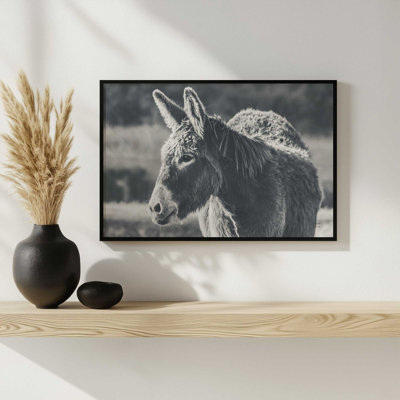 «Sweet Donkey I BW» par Nathan Larson, reproduction d'art
