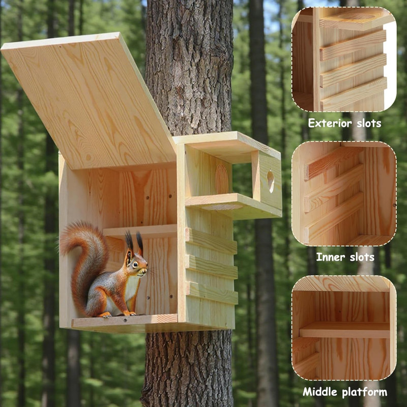 Boîtes à écureuil en bois pour l'extérieur, boîte à écureuil avec porche extérieur