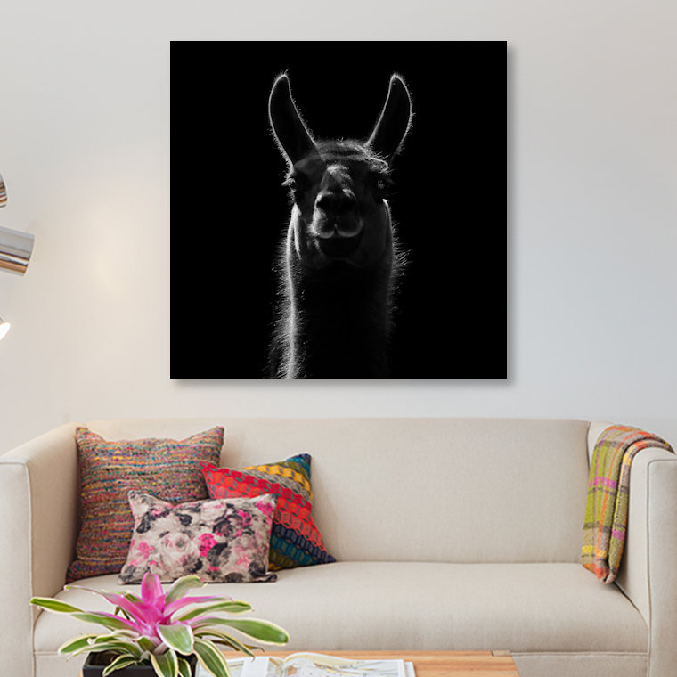 « llama », impression sur toile, H 12 po x l 12 po x P 0,75 po, Pas de tapis, Toile tendue