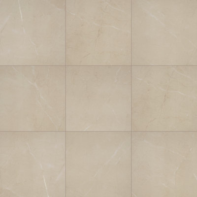 Daltile Perpetuo 24" X 24" Matte Porcelain Floor Tile (4.00 PCS Per Carton) (15.20 sqft per carton)
