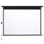 Inbox Zero Outdoor Electric Projector Screen Projector Screen-59441582