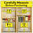 LYNK PROFESSIONAL® Pull Out Spice Rack Organizer for Cabinet - 2 Tier, Chrome-648953662