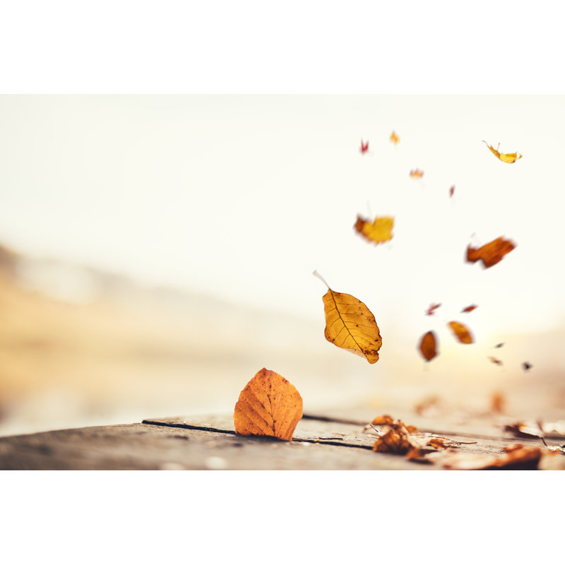 Idyllic Autumn Scene by Borchee - No Frame Print on Canvas, 30cm H x 46cm W