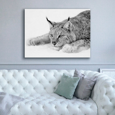 " Lynx 1 " by PhotoINC Studio