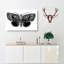 Epione Underwing Moth by S.F. Denton - Wrapped Canvas-55370568