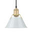 Luminaire suspendu conique à 1 lumière Weatherford-660949697-660949727-618613088