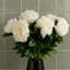 Artificial Arrangement