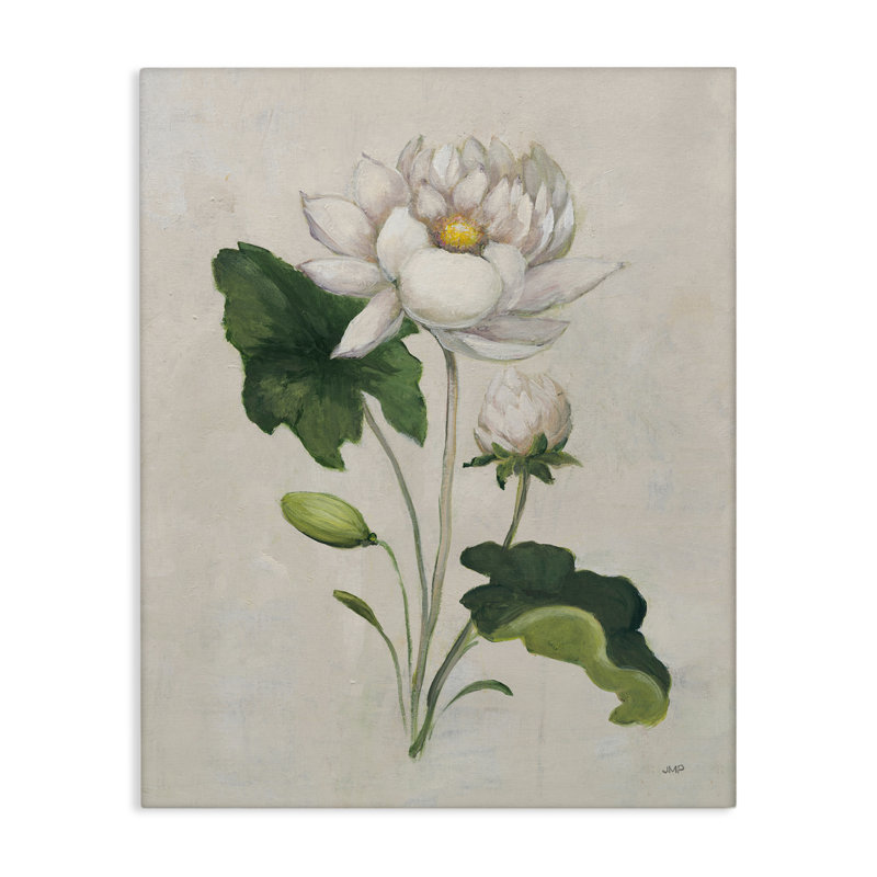  «Graceful Budding Lily», art mural sur toile par Julia Purinton, H 30 po x l 24 po