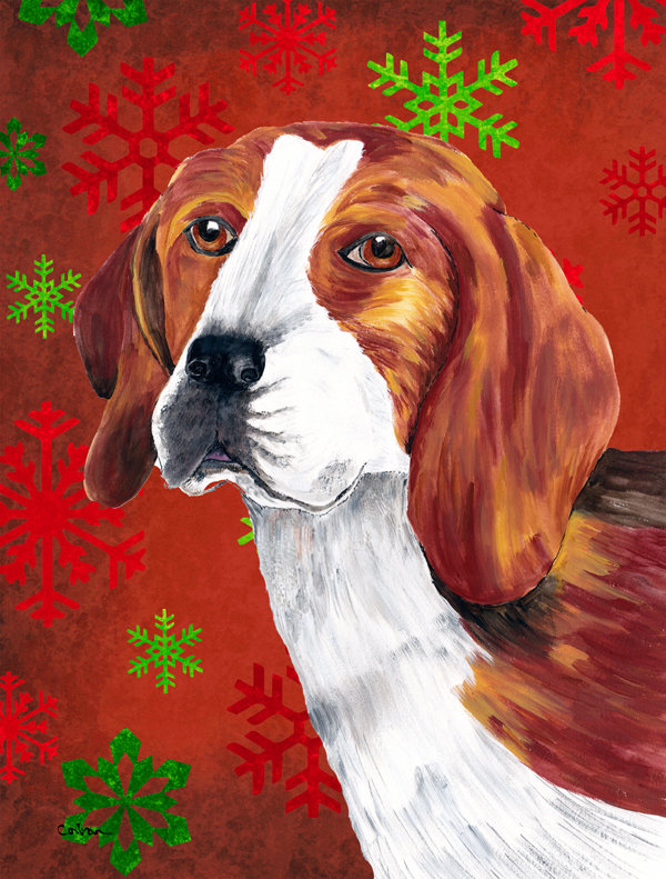 Drapeau rouge et vert Vart, Beagle