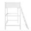 Lit mezzanine simple avec échelle Averylynn-1893127404