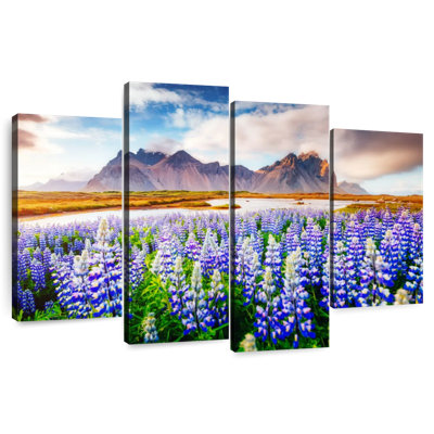 Harnek majestueux Lupins