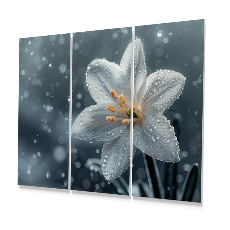 Landreneau - Ensemble de décorations murales Snowdrops, Métal métal, H 40 po x l 60 po x P 1 po